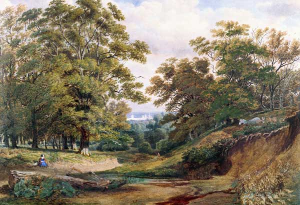 A Scene in Bagley Wood near Oxford (w/c and bodycolour) à William Turner