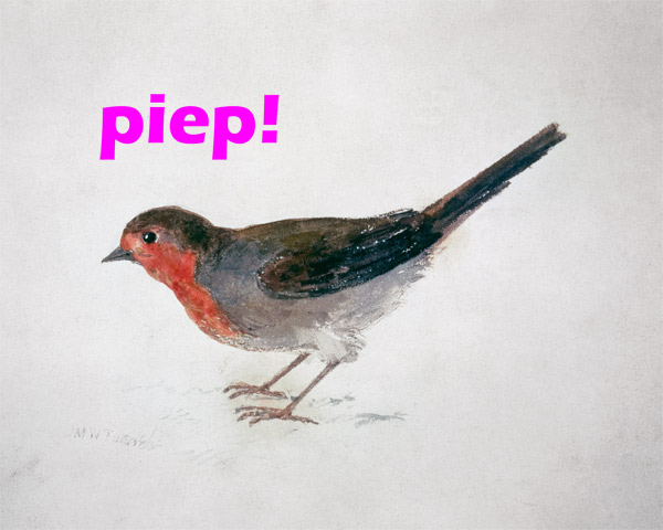 Robin, from The Farnley Book of Birds  - "piep!" à William Turner