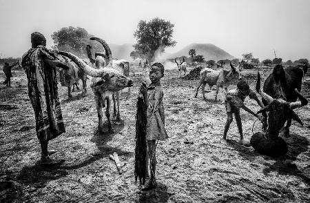 A scene of life in a mundari camp.