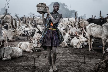 Woman carrying dung in a Mundari cattle camp - South Sudan