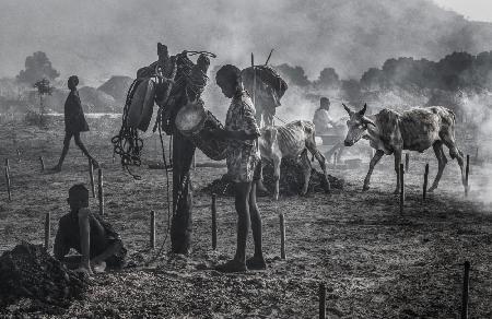 In a Mundari cattle camp-IX - South Sudan