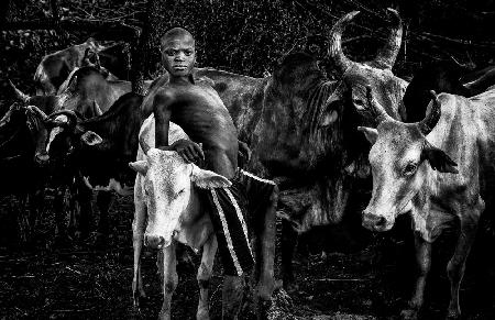 Surma tribe boy taking care of the cattle.