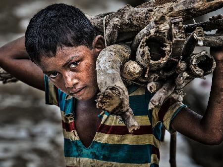 Rohingya refugee boy carrying some firewood.