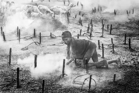 Collecting dung in a mundari cattle camp - South Sudan