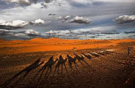 Through the dunes of Merzouga (Morocco)
