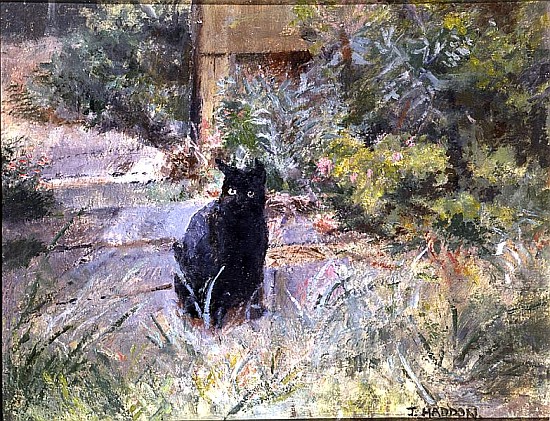 Fat Mog in the Garden (oil on canvas)  à Joyce  Haddon