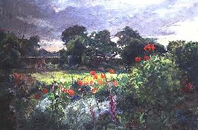 Garden landscape 