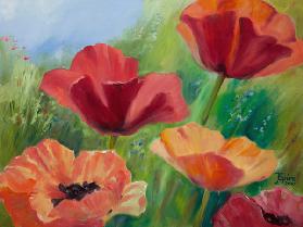 Mohn 2 