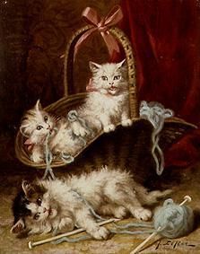 Jeunes chats jouant avec une boule de laine à Jules Leroy