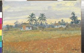 Cuban Landscape