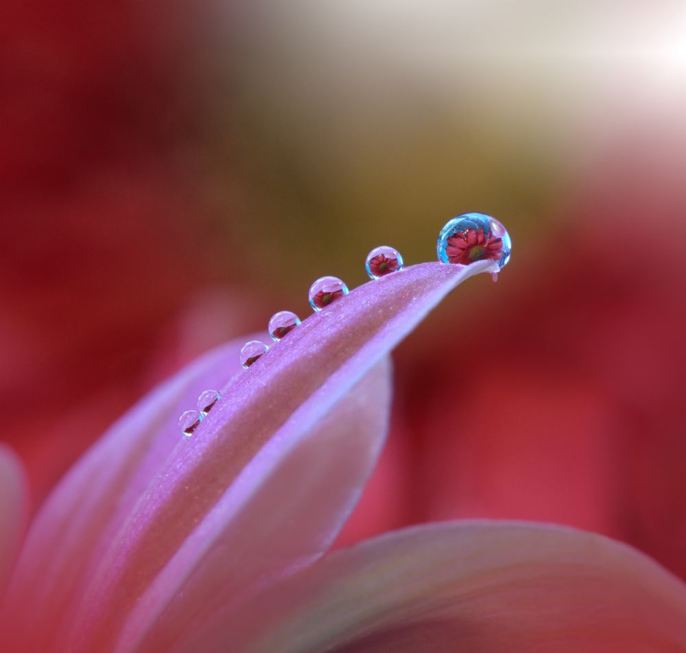 Behind Closed Eyes... à Juliana Nan