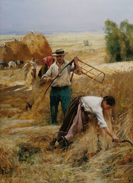 Harvesting à Julien Dupré