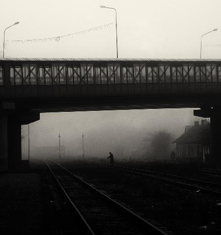 Monday foggy