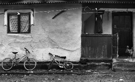 Two bicycles,a boy and a chicken