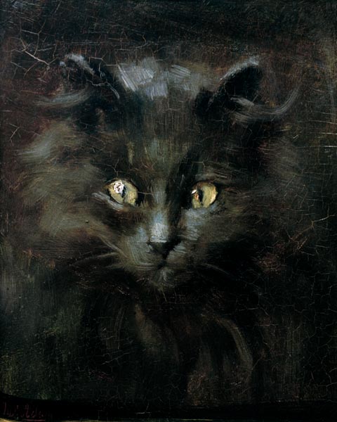 Portrait of a cat à Julius Adam