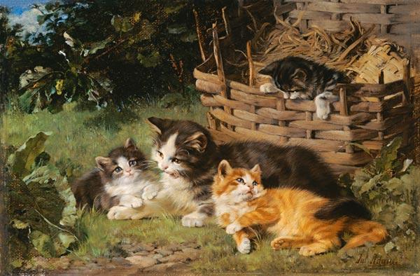 Mère de chat avec trois garçons