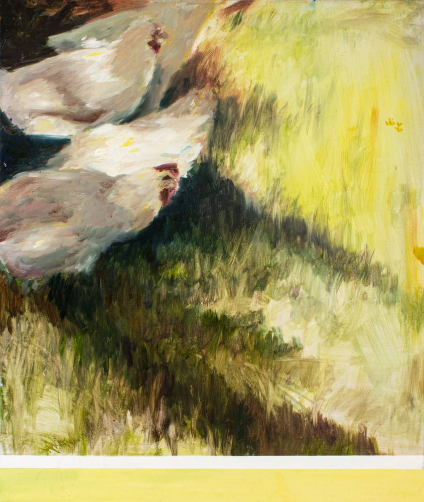 Hühner im Schatten à Julius Müller