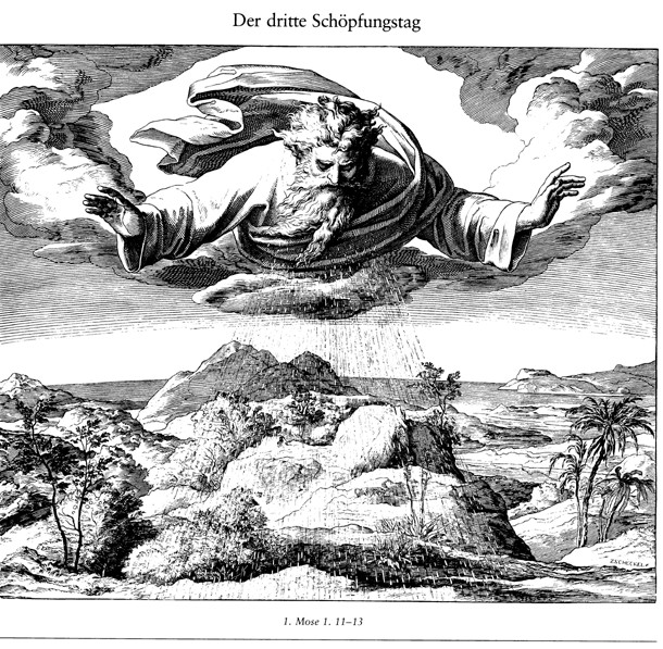 The Third Day of Creation (From Die Bibel in Bildern) à Julius Schnorr von Carolsfeld