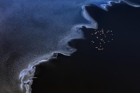 Flying over the Salt Lake