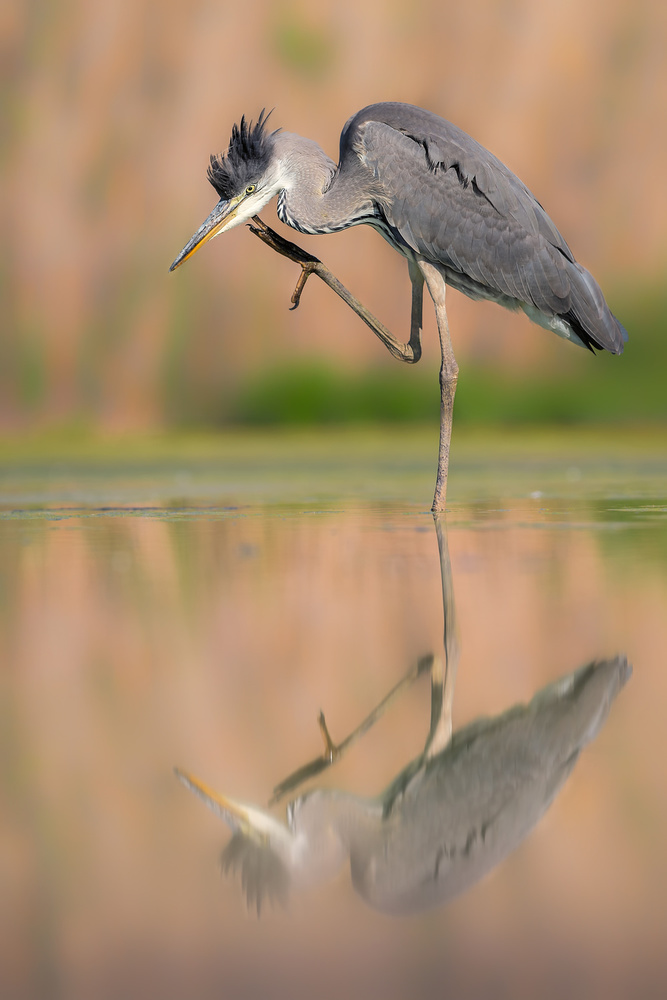 &quot;Thinking&quot; à Jun Zuo