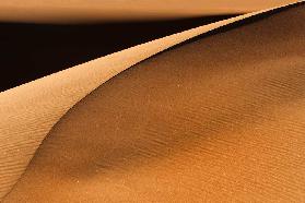 Golden Dunes