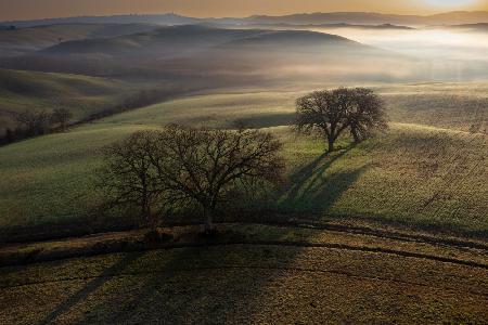 Tuscan morning