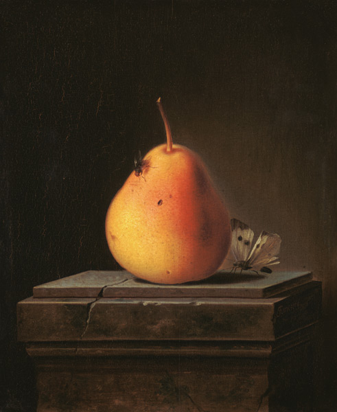 Still Life with Pear and Insects à Justus Juncker