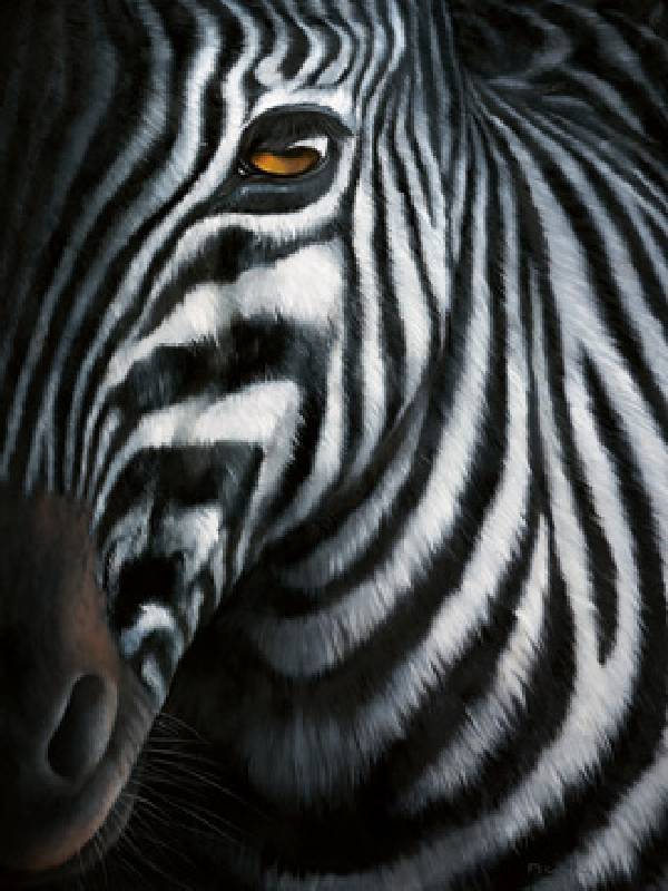 Zebra I à Plath
