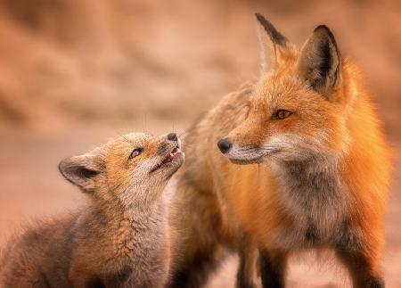 Mom and daughter