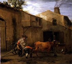 A Smith Shoeing an Ox