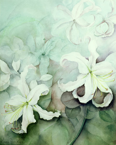 Lilies, white Auratum  à Karen  Armitage