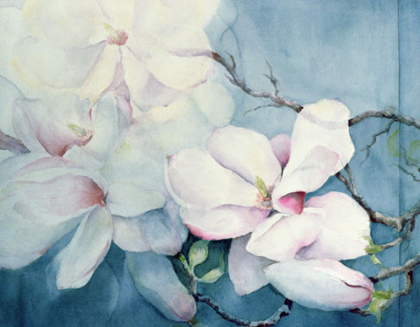 Magnolia Soulangeana (horizontal)  à Karen  Armitage