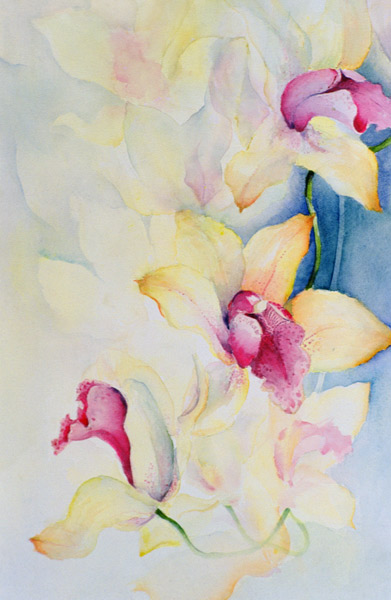 Orchid, Cymbidium, Prince Charles  à Karen  Armitage