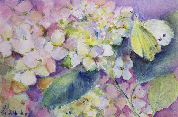 Pale Clouded Yellow Butterfly, Colias Hyale on Hydrangea  à Karen  Armitage