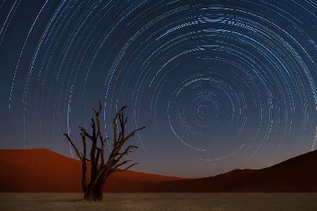 Star Trails of Namibia