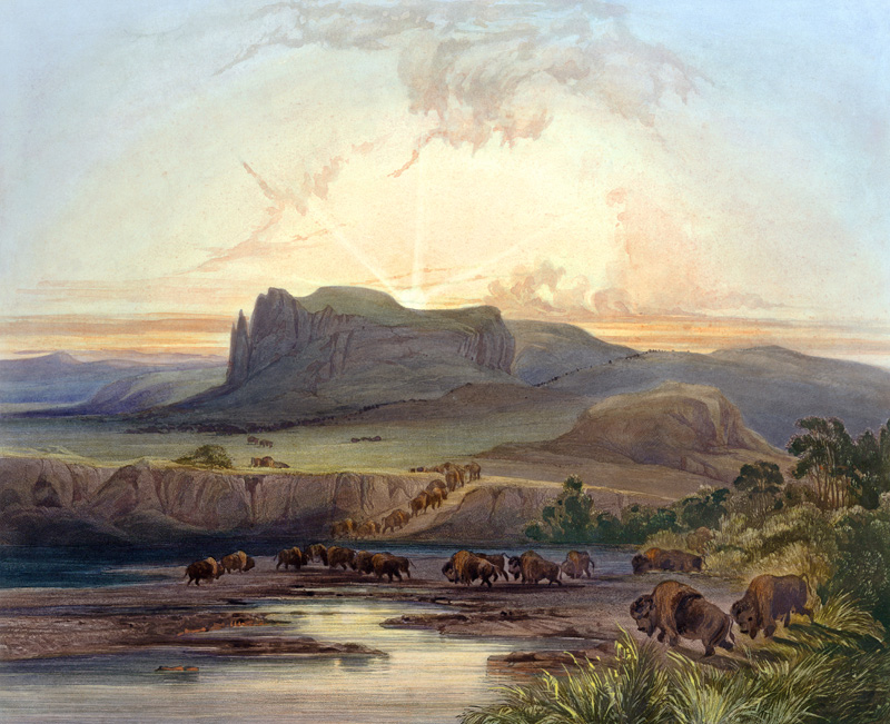 Herd of Bison on the Upper Missouri, plate 40 from Volume 2 of 'Travels in the Interior of North Ame à Karl Bodmer