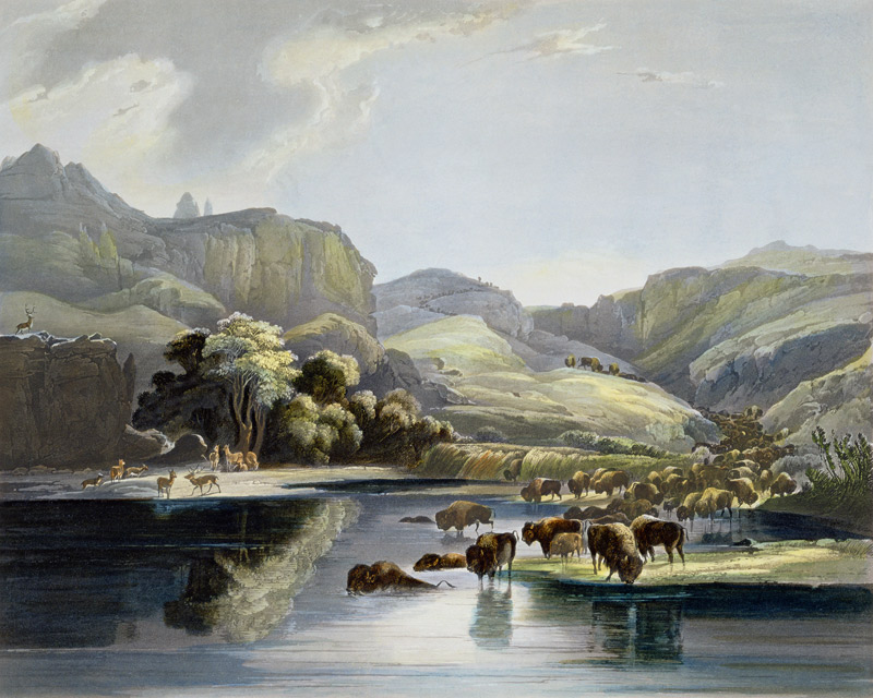 Herds of Bison and Elk on the Upper Missouri, plate 47 from Volume 2 of 'Travels in the Interior of à Karl Bodmer