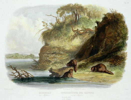 Beaver Hut on the Missouri, plate 17 from volume 1 of `Travels in the Interior of North America', en à Karl Bodmer