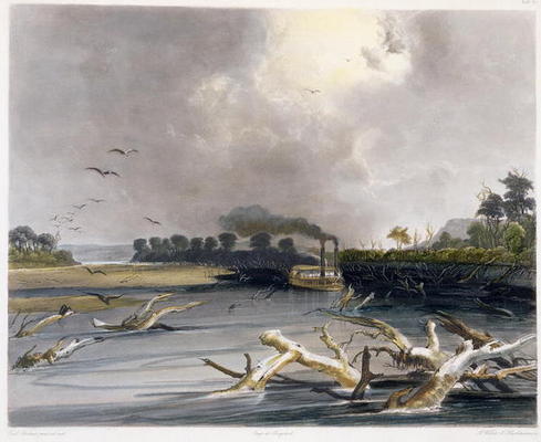 Snags (sunken trees) on the Missouri, plate 6 from Volume 2 of 'Travels in the Interior of North Ame à Karl Bodmer