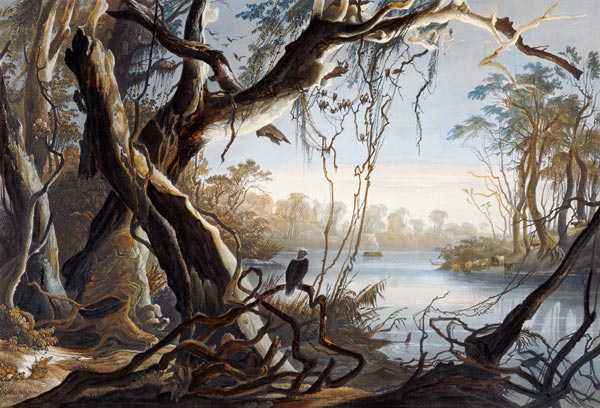 The Mouth of the Fox River, Indiana, plate 5 from Volume 2 of 'Travels in the Interior of North Amer à Karl Bodmer