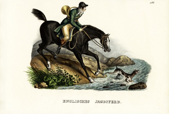 English Hunter Horse à Karl Joseph Brodtmann