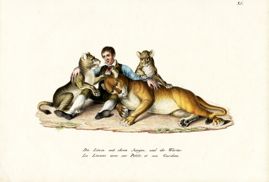 Lioness With Cubs à Karl Joseph Brodtmann