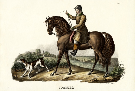 Spanish Hunter Horse à Karl Joseph Brodtmann