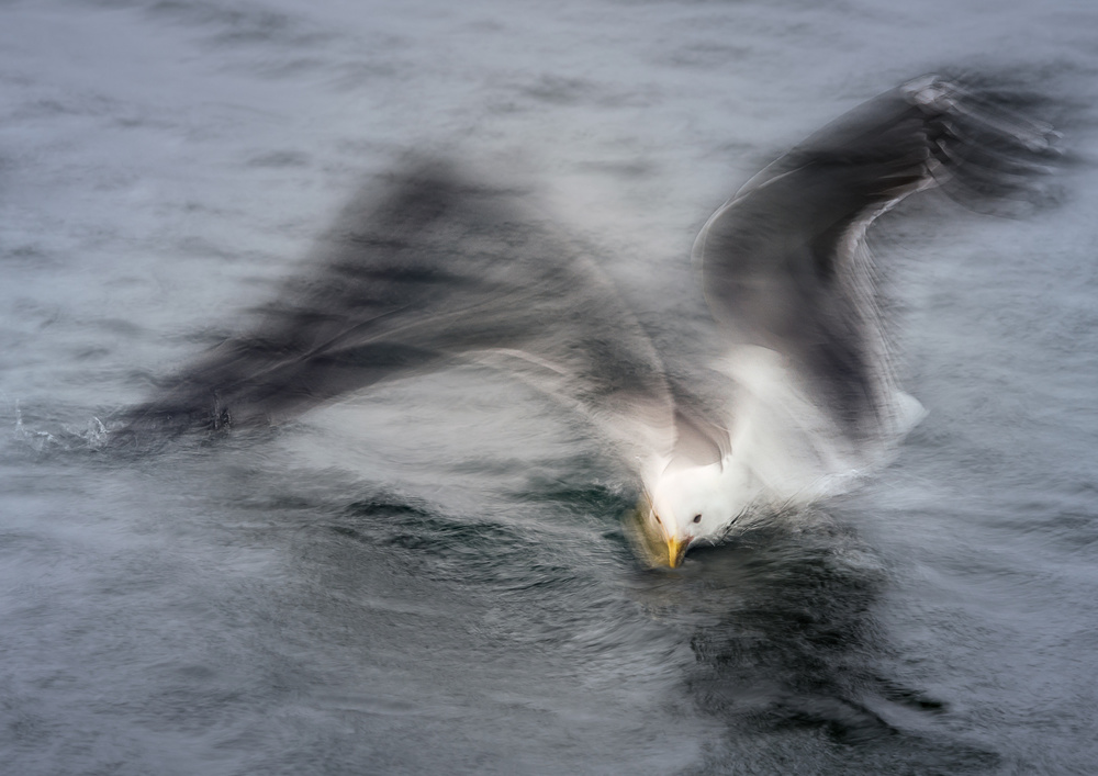 Gull à Katarina Holmström