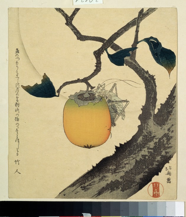 Moon, Persimmon and Grasshopper à Katsushika Hokusai