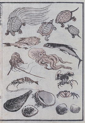 Undersea creatures, from a Manga (colour woodblock print) à Katsushika Hokusai