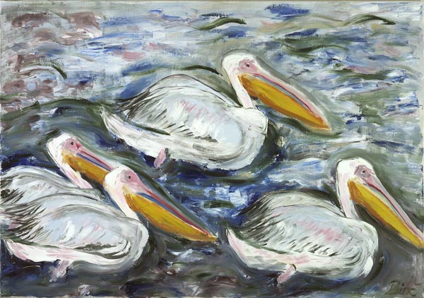 Pelikane à Sabine Katterle