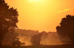 Traktor im Sonnenuntergang