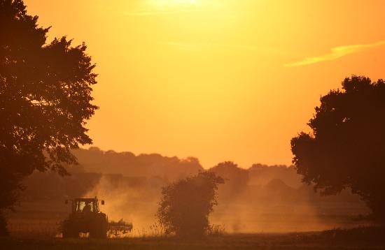 Traktor im Sonnenuntergang à Kay Nietfeld