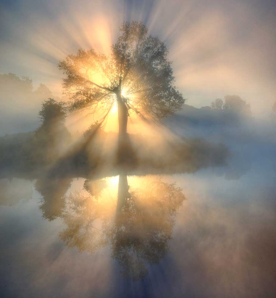 Tree of light à Keller